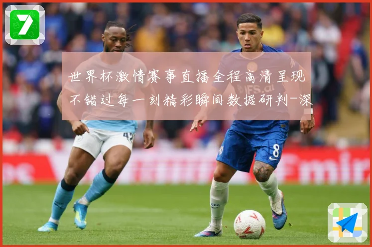 世界杯激情赛事直播全程高清呈现不错过每一刻精彩瞬间数据研判-深度解析